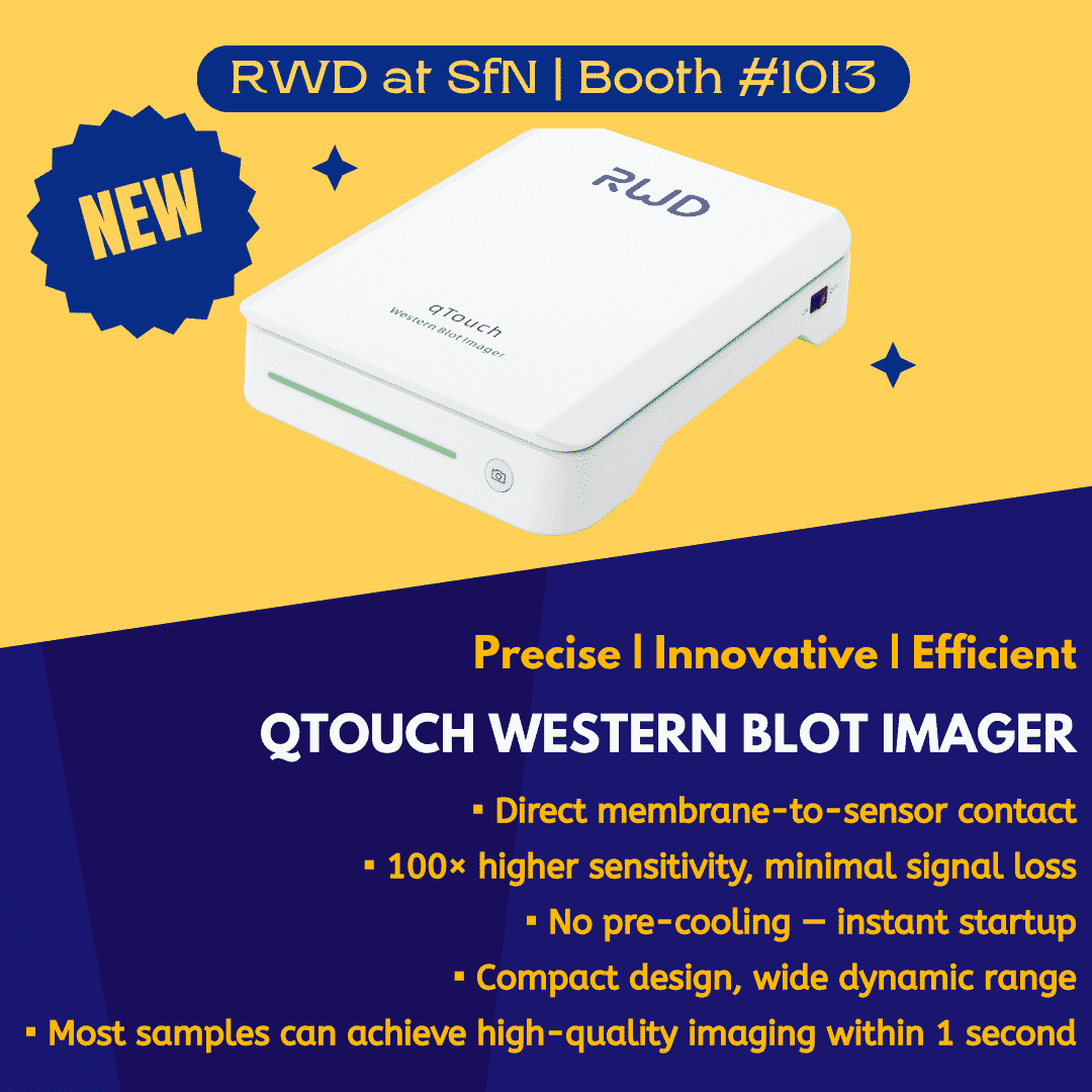 SfN 2025 Exhibition