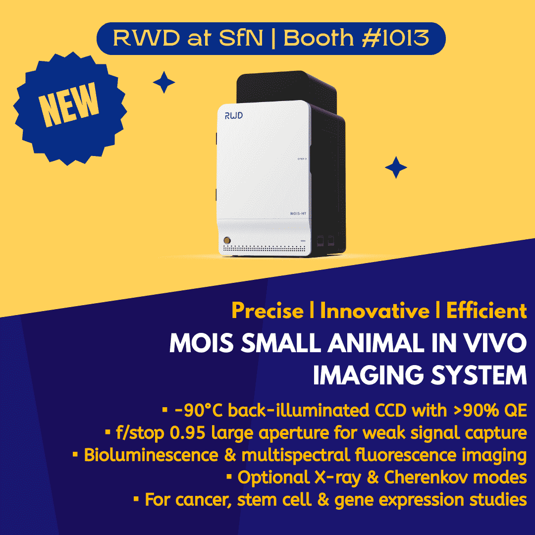 SfN 2025 Exhibition