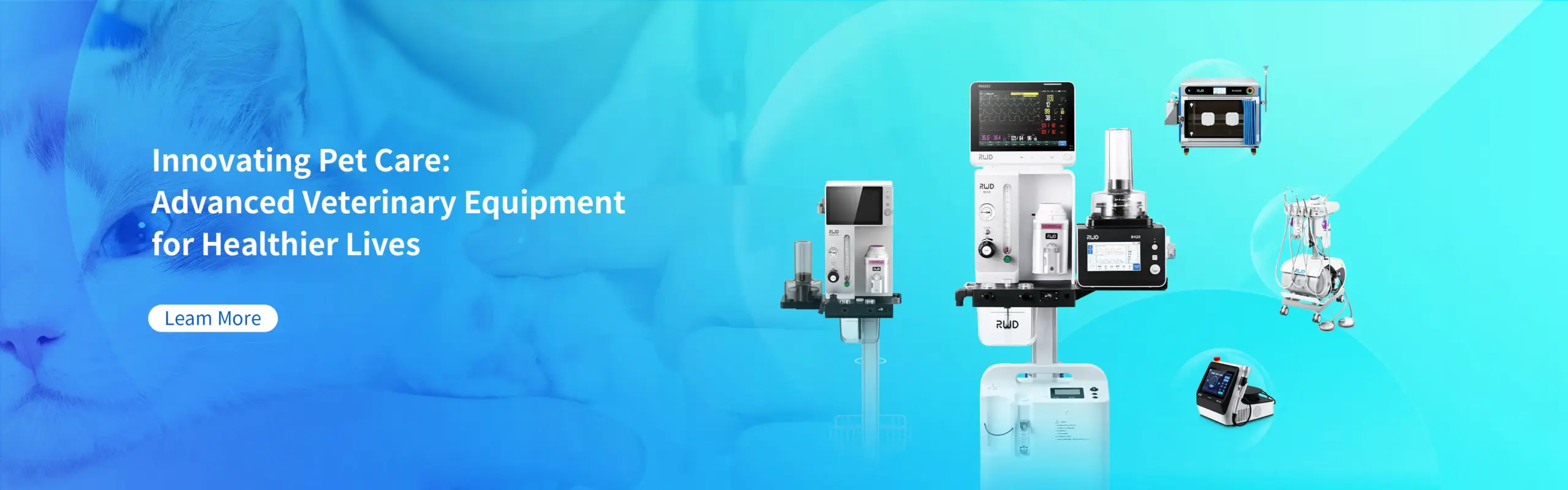 banner1 innovative pet care scaled