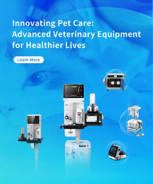 innovative pet care