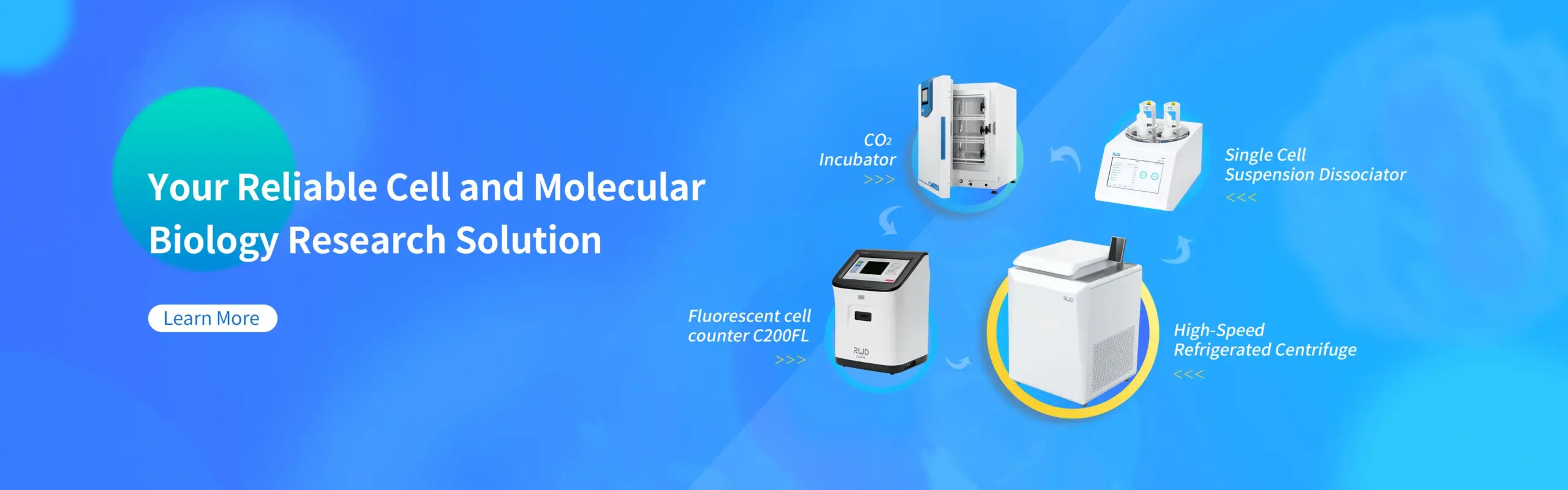 banner3 reliable solutions for cell and molecular biology research scaled