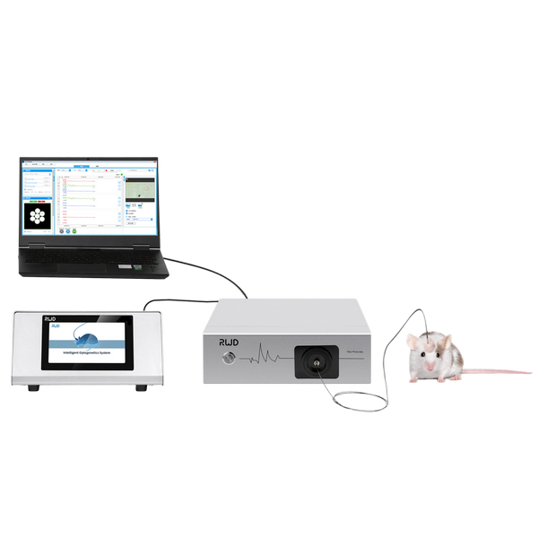 r830-four-color-multichannel-fiber-photometry-system